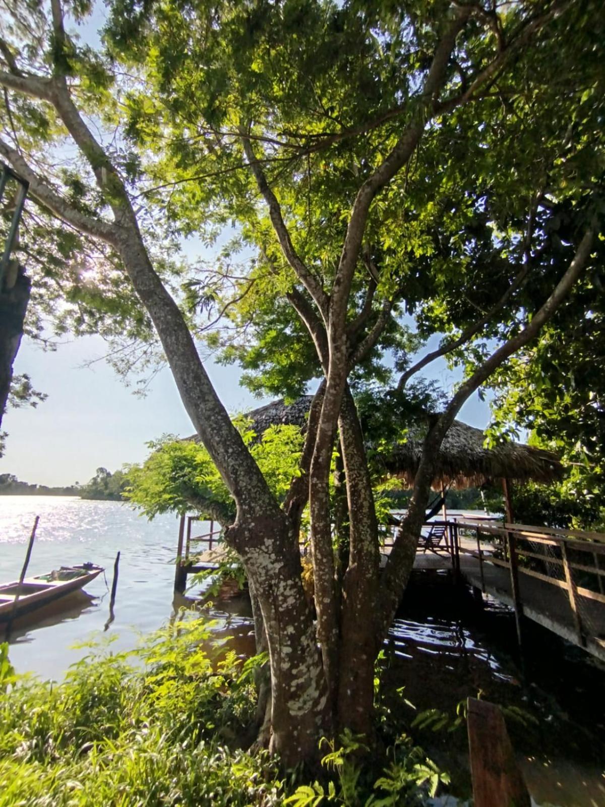 Lodge Marcone Lima - *